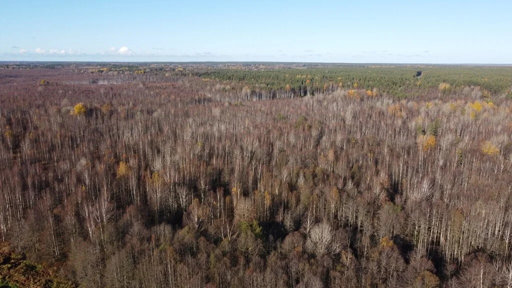 Продажа участка, Барышево, Выборгский район - Фото 9