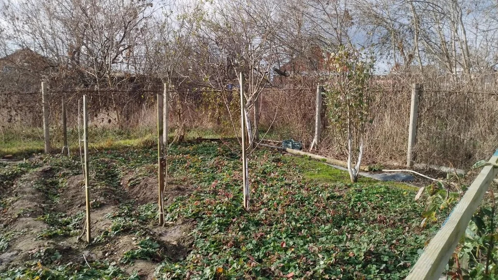 Продажа дома, Октябрьский, Темрюкский район - Фото 17