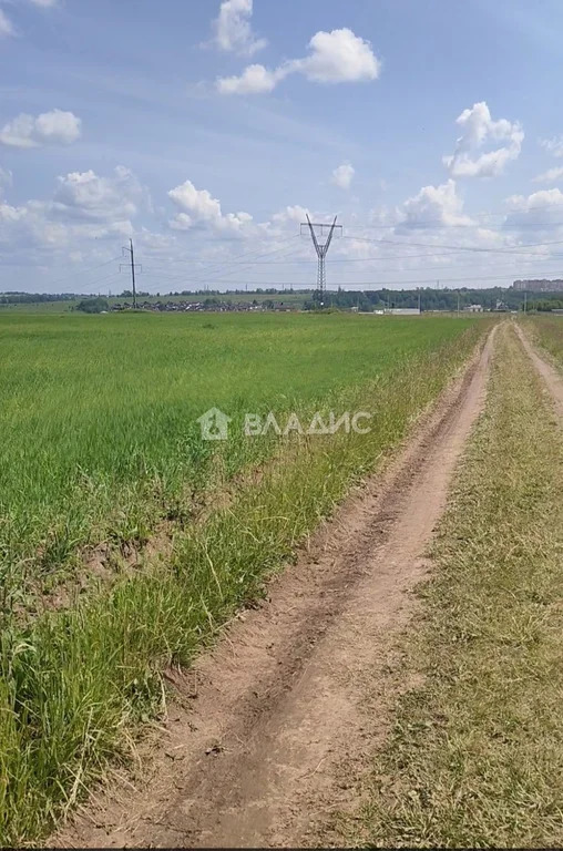 Суздальский район, село Сновицы, улица Гагарина,  земля на продажу - Фото 5