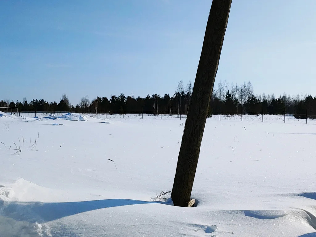 Кунгурский муниципальный округ, село Плеханово,  земля на продажу - Фото 3