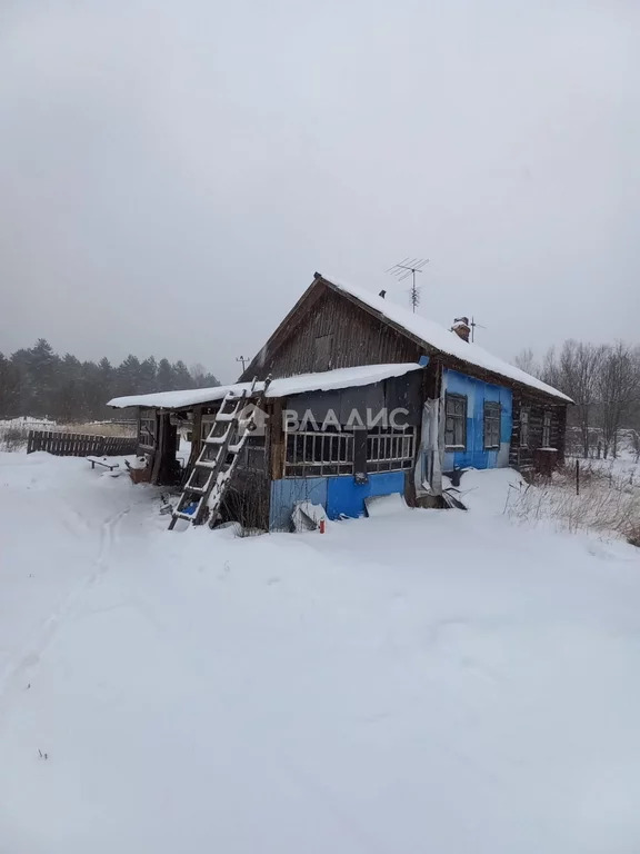 Гусь-Хрустальный район, поселок Панфилово, дом на продажу - Фото 2