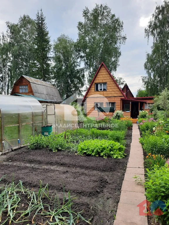 Новосибирский район, садоводческое некоммерческое товарищество ... - Фото 7