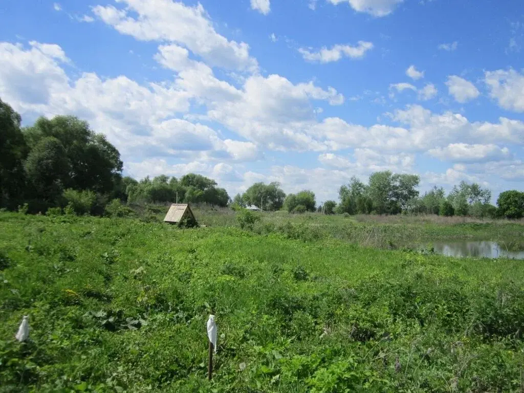 Купить участок 30.0 сот. Тульская область, Алексинский район, Фомищево ... - Фото 3