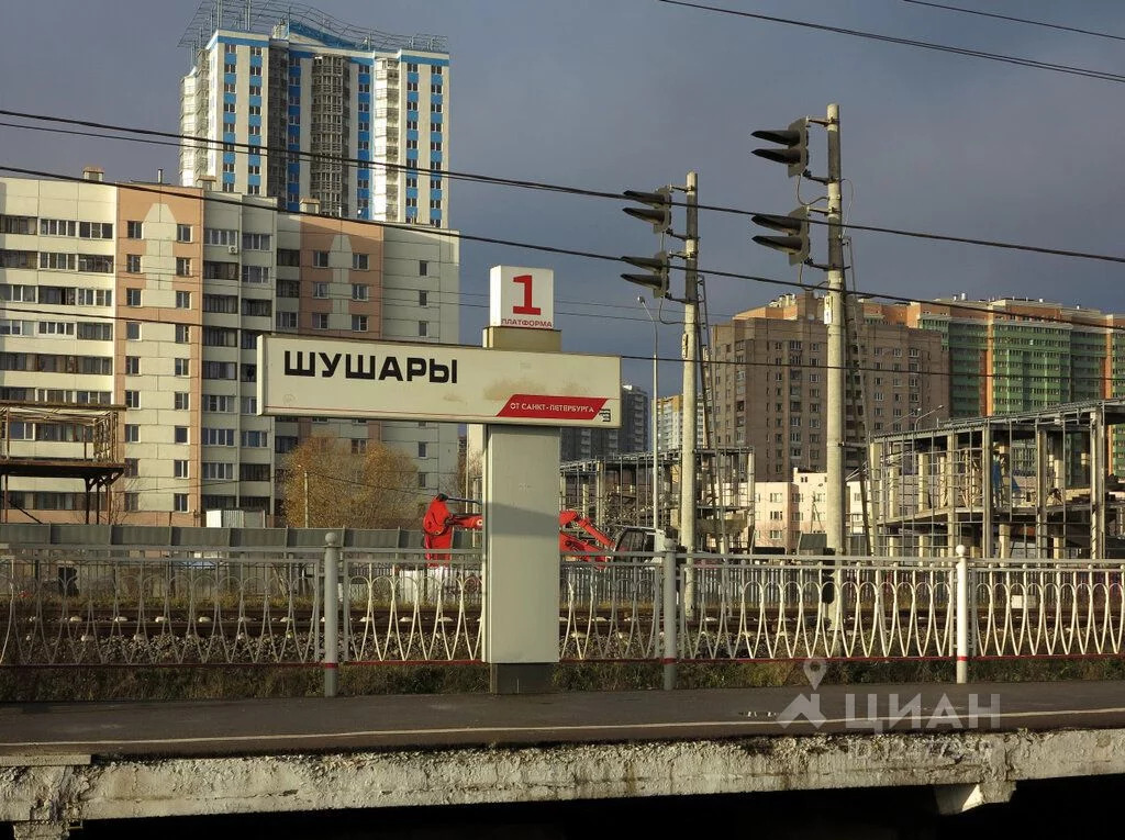 Шушары в санкт петербурге