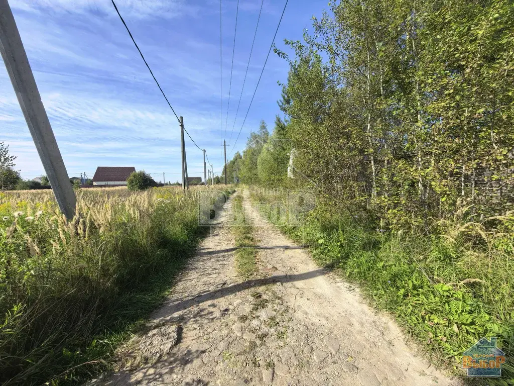 Большой участок 23 сотки - Фото 5