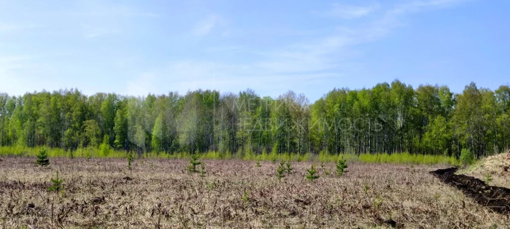 Продажа земельного участка, Тюменский район, Тюменский р-н - Фото 0