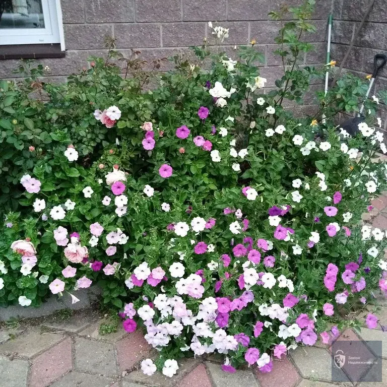 Современный жилой дом в деревне Спасс-Косицы. 12 сот. ИЖС. - Фото 46