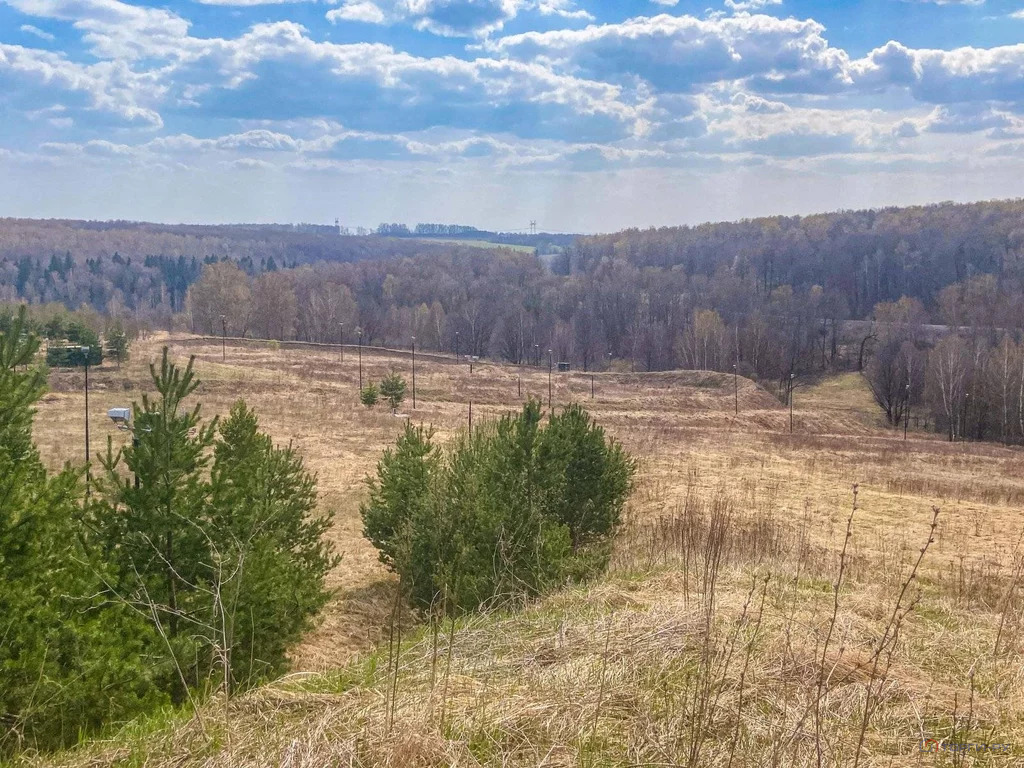 Продажа ПСН, Малахово (МО Рождественское), Ленинский район, ул. ... - Фото 8