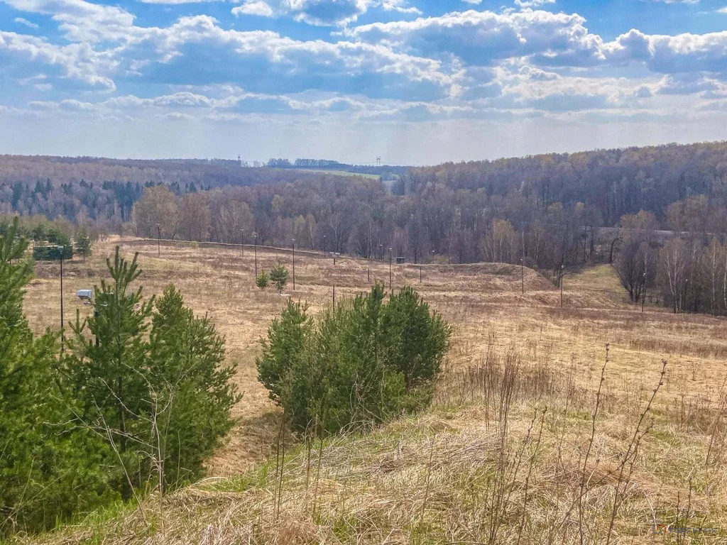 Продажа ПСН, Малахово (МО Рождественское), Ленинский район, ул. ... - Фото 11