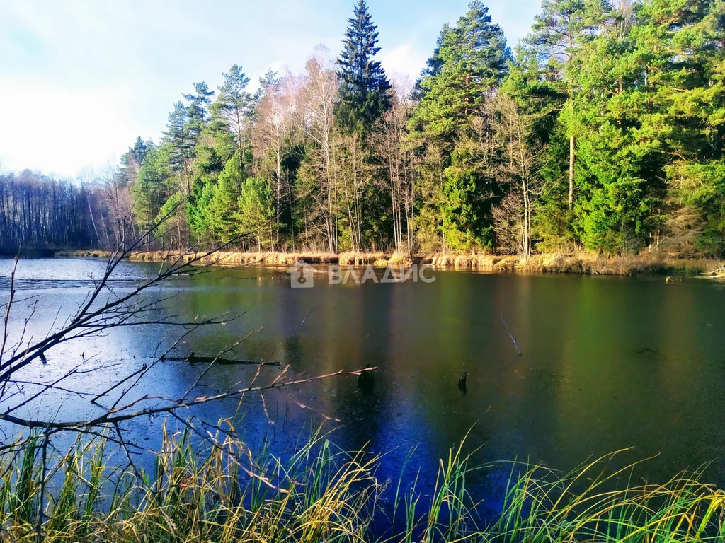 Судогодский район, село Спас-Беседа, Полевая улица,  земля на продажу - Фото 3