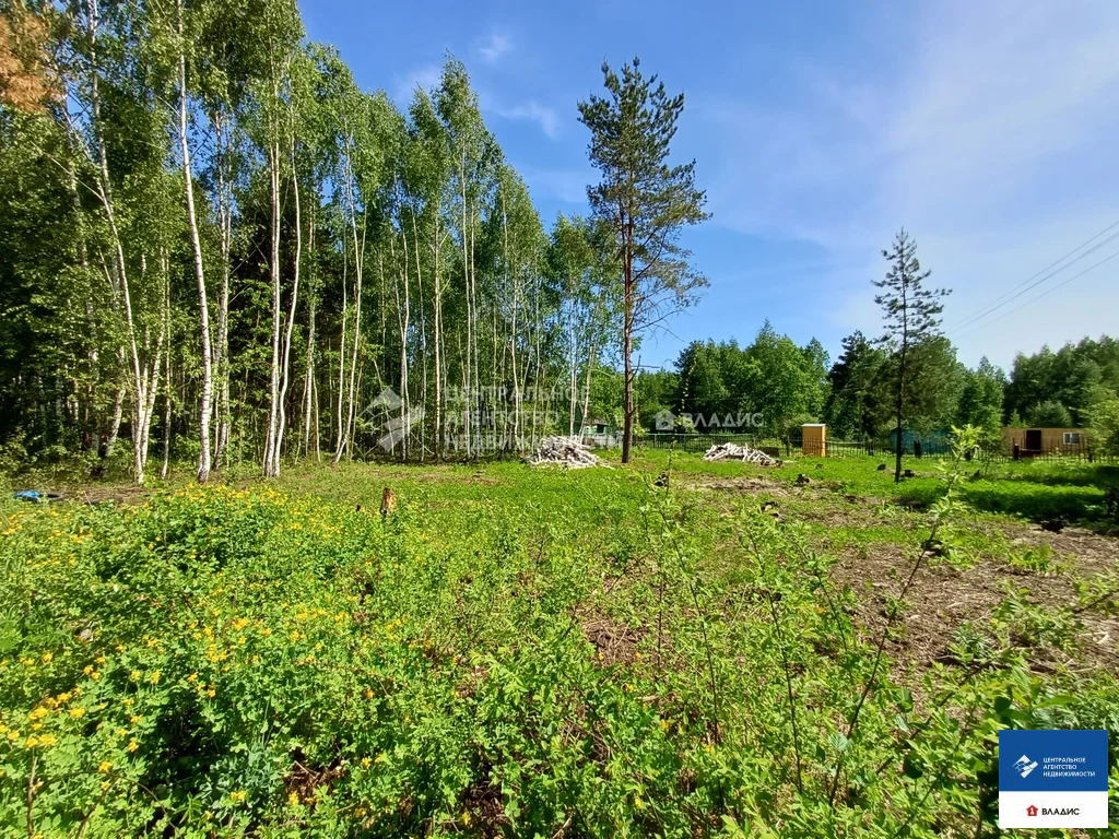 Продажа участка, Рязанский район, садоводческое товарищество Ранет - Фото 2