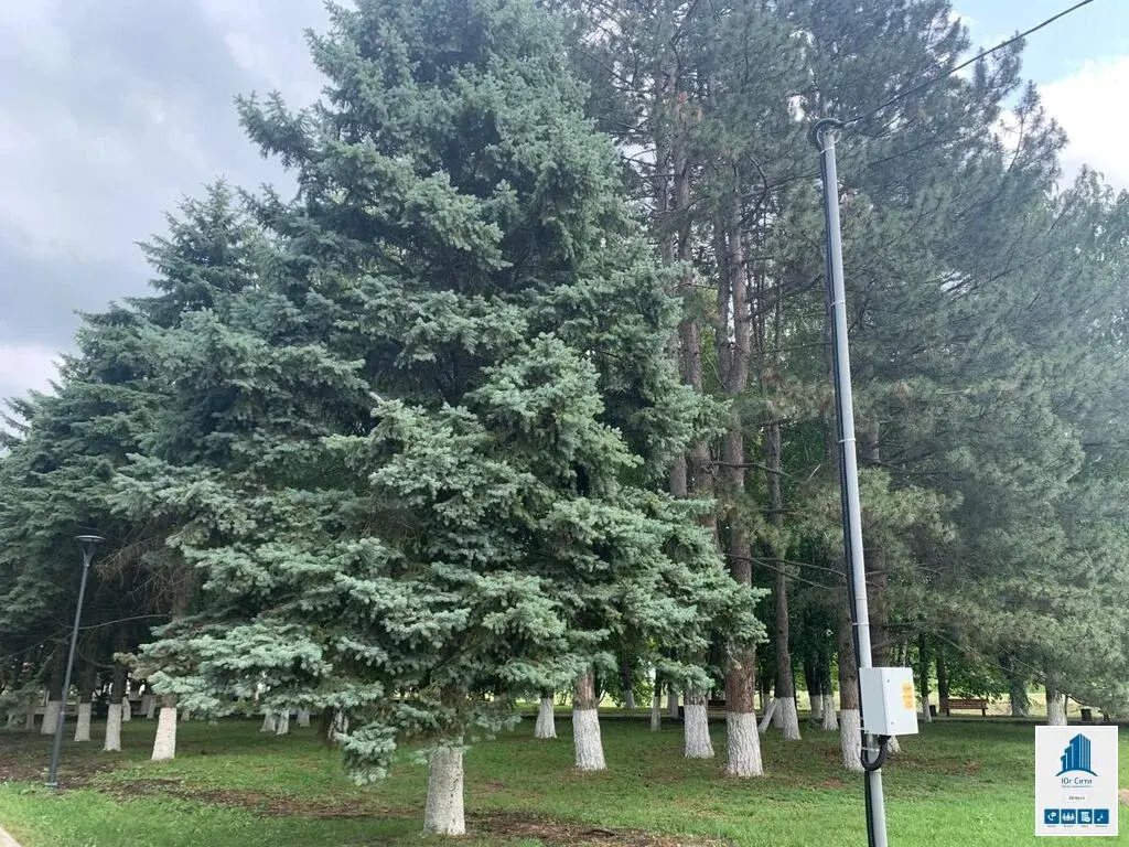 Квартира на лоне природы! - Фото 13