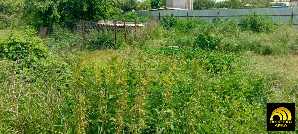 Продажа дома, Кеслерово, Крымский район, ул. Пушкина - Фото 17