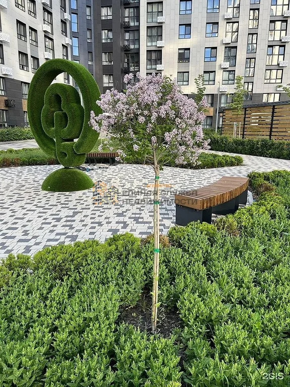 Аренда квартиры, Уфа, ул. Менделеева - Фото 12