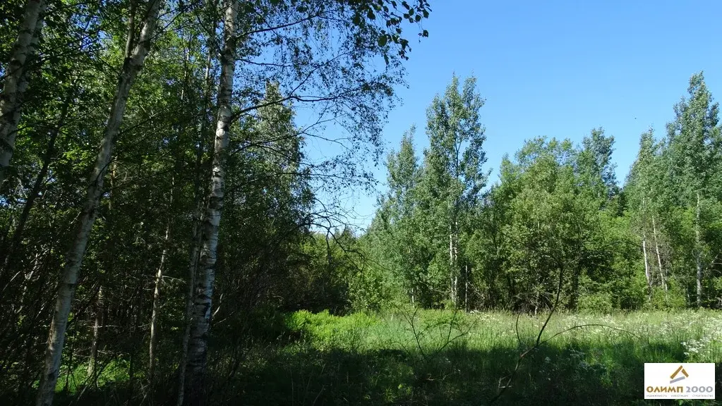 Где Купить Землю В Ленинградской Области