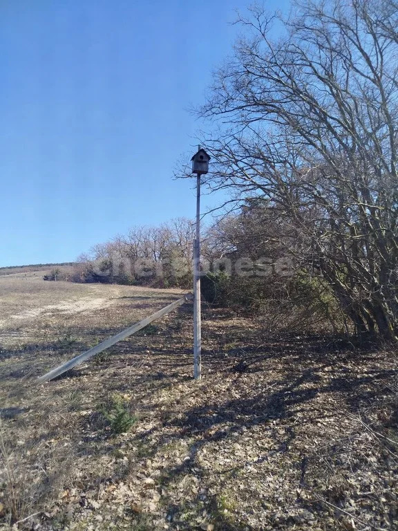 Продажа участка, Севастополь, территория КСП Память Ленина - Фото 12