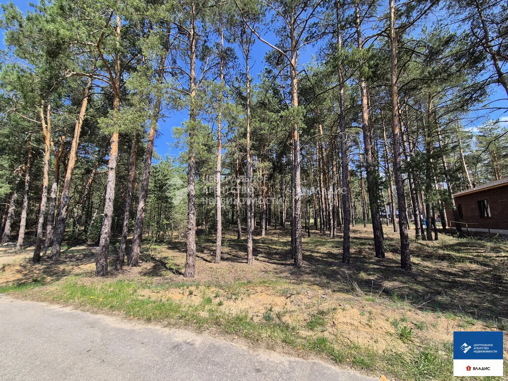Продажа участка, Рязанский район - Фото 6