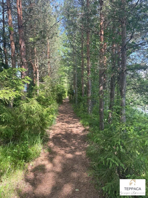 Продажа дома, Большое Коновалово, Ломоносовский район - Фото 16