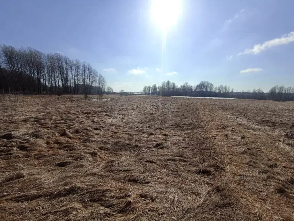 Участок в 100 м от озера Губановское - Фото 1