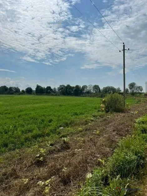 Продажа земельного участка, Сумароково, Рузский район - Фото 4