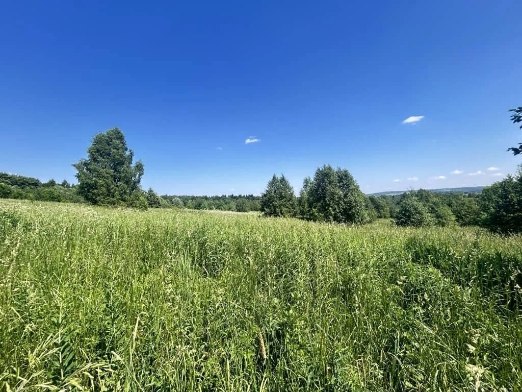 Продажа участка, Горбово, Дмитровский район - Фото 5