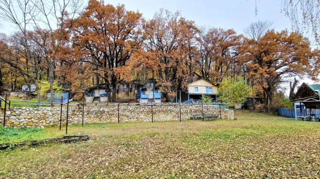 Продажа готового бизнеса, Рамонский район, Воронежский лесхоз, . - Фото 9
