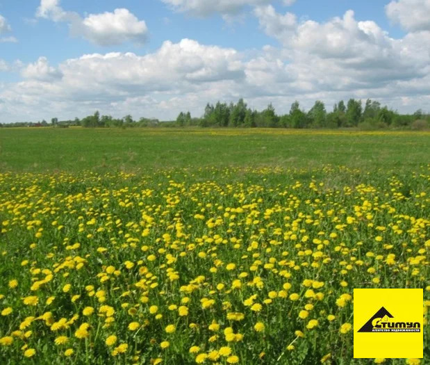 Продажа участка, Должанская, Ейский район, Славянский пер. - Фото 1