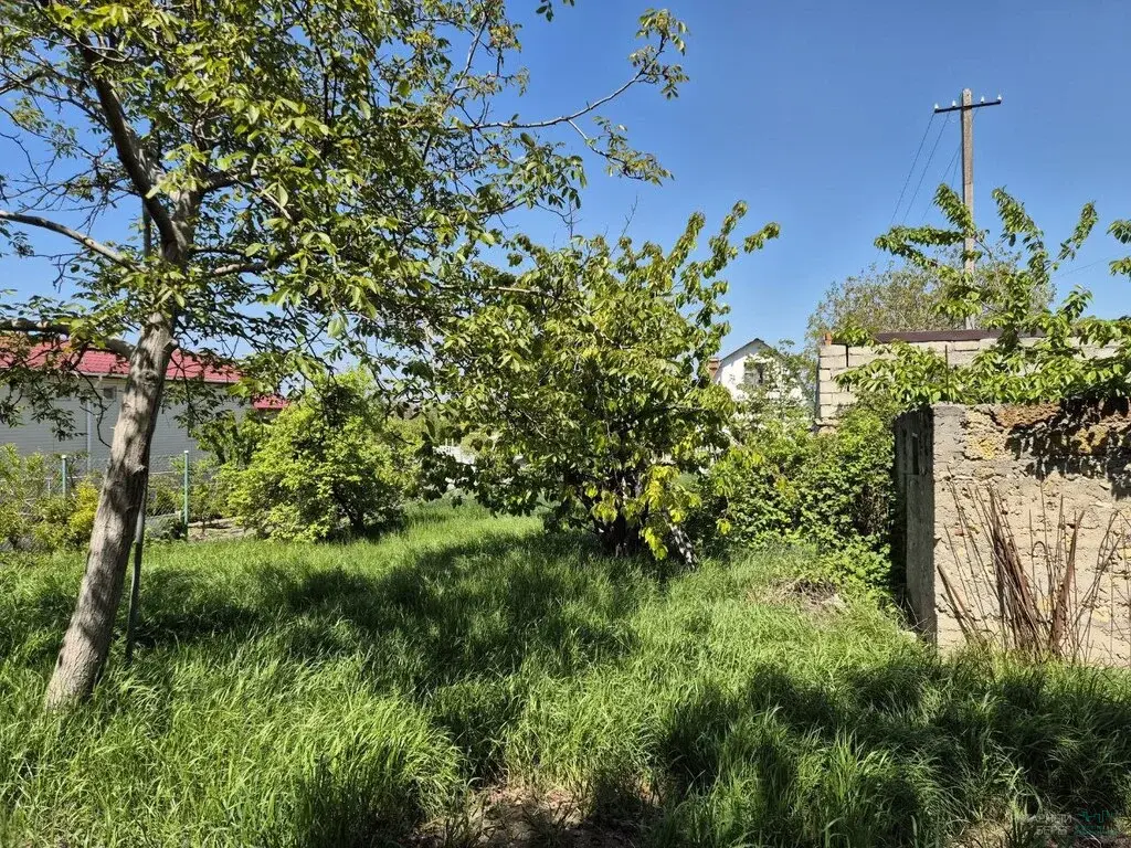 Продается участок 6.4 сотки в СНТ «Южный» (р-н ул. Шабалина) - Фото 3