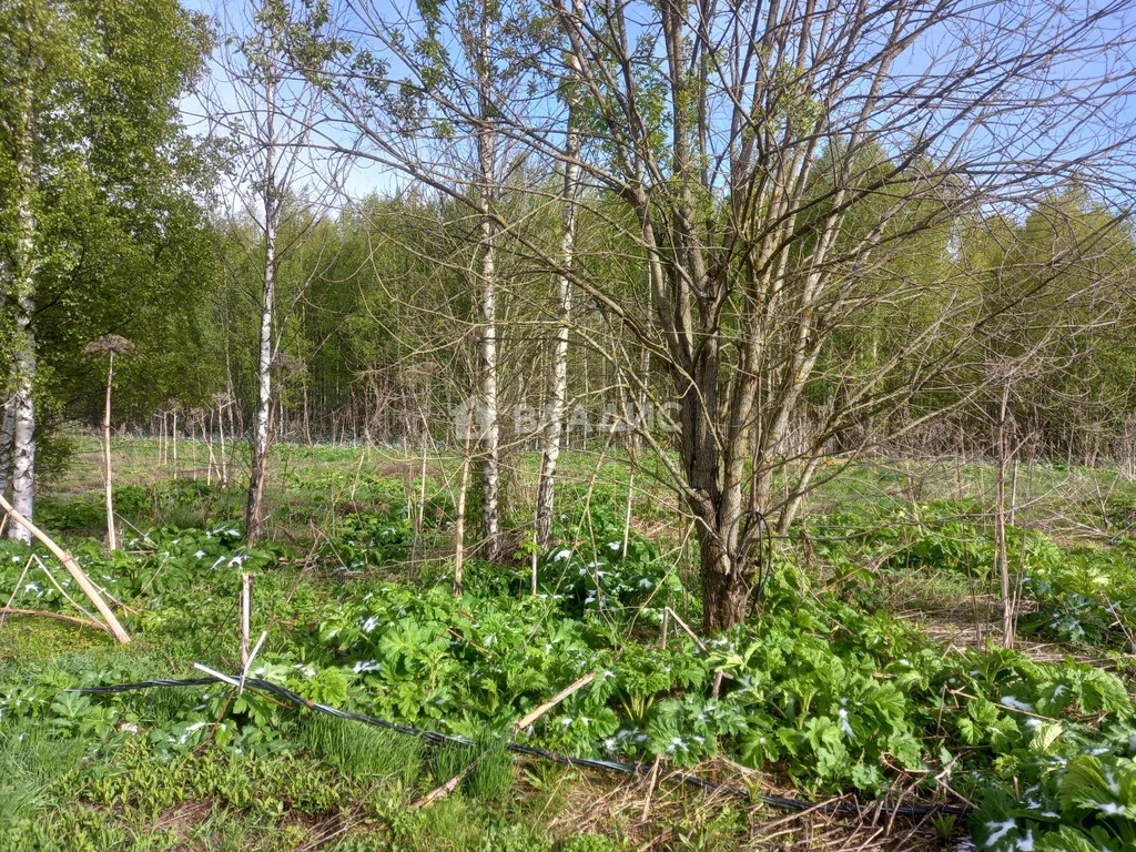 городской округ Истра, коттеджный посёлок Роса,  дом на продажу - Фото 3