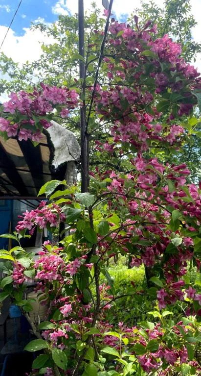 Продажа дома 69.8 м2 на участке 3 сот. - Фото 13