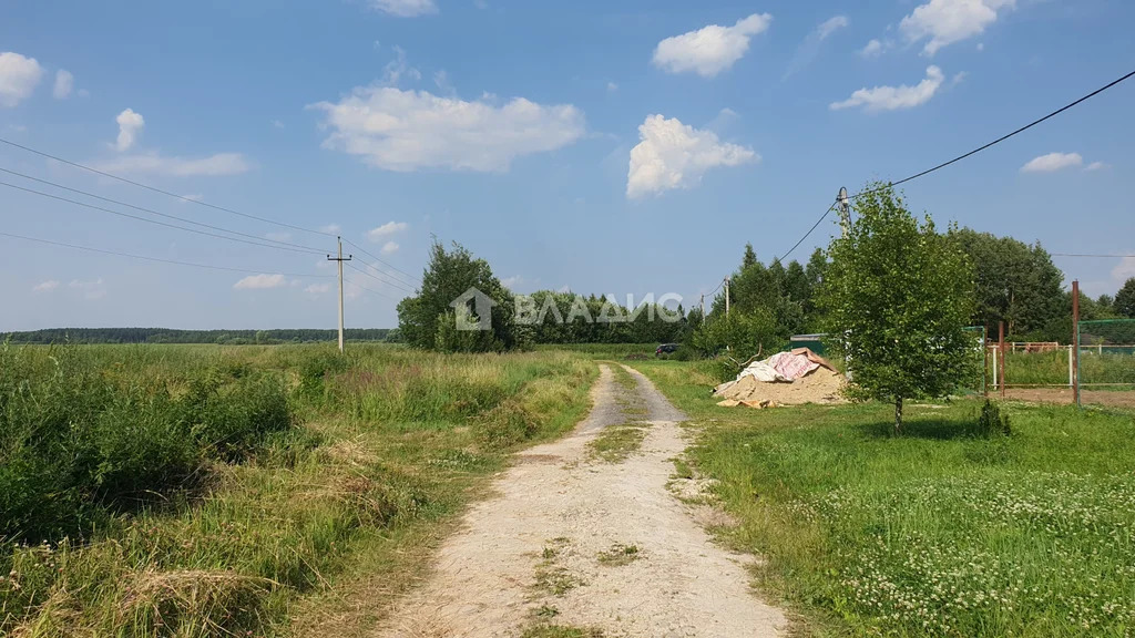 городской округ Ступино, посёлок Каменка, Раздольная улица,  земля на ... - Фото 6