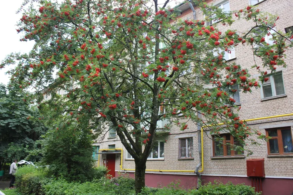 2-к ул. Кончаловского, дом 7 - Фото 11