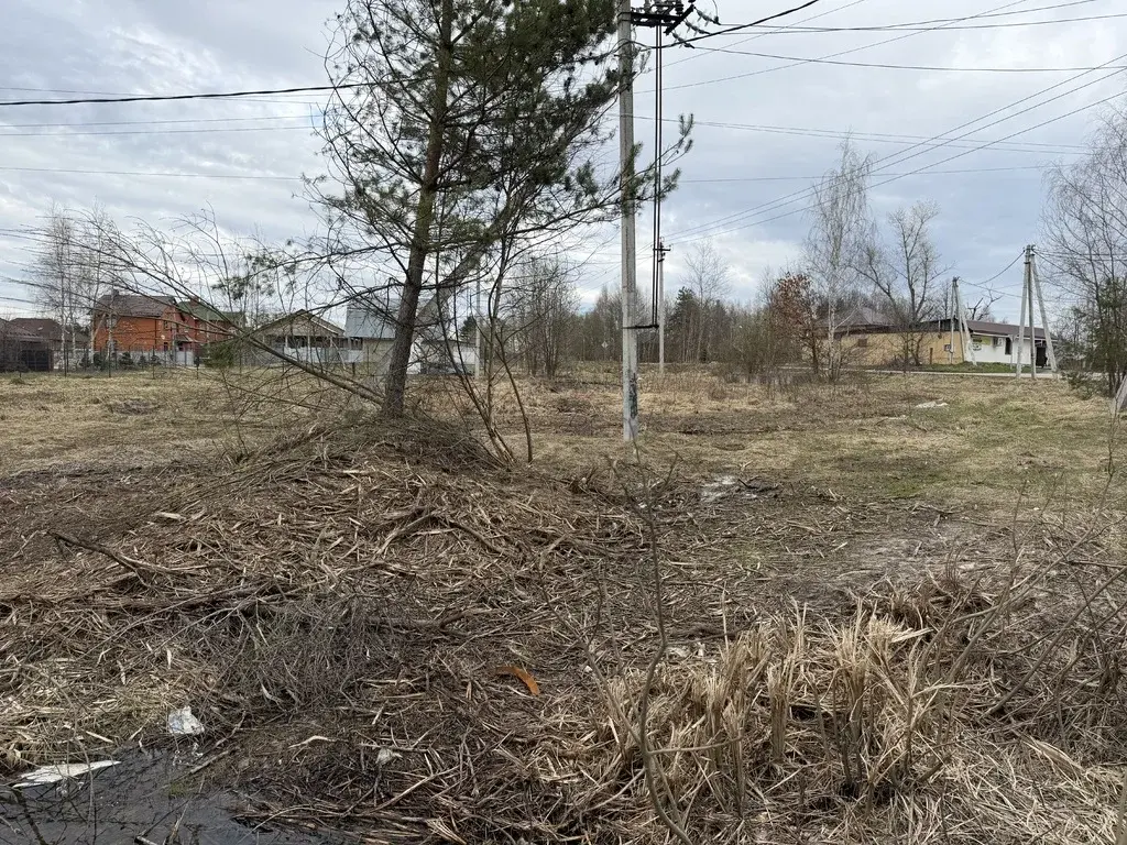 Участок в деревне Холмы - Фото 5