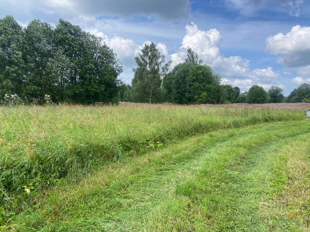 Продажа участка, Большие Озертицы, Волосовский район, деревня Большие ... - Фото 2