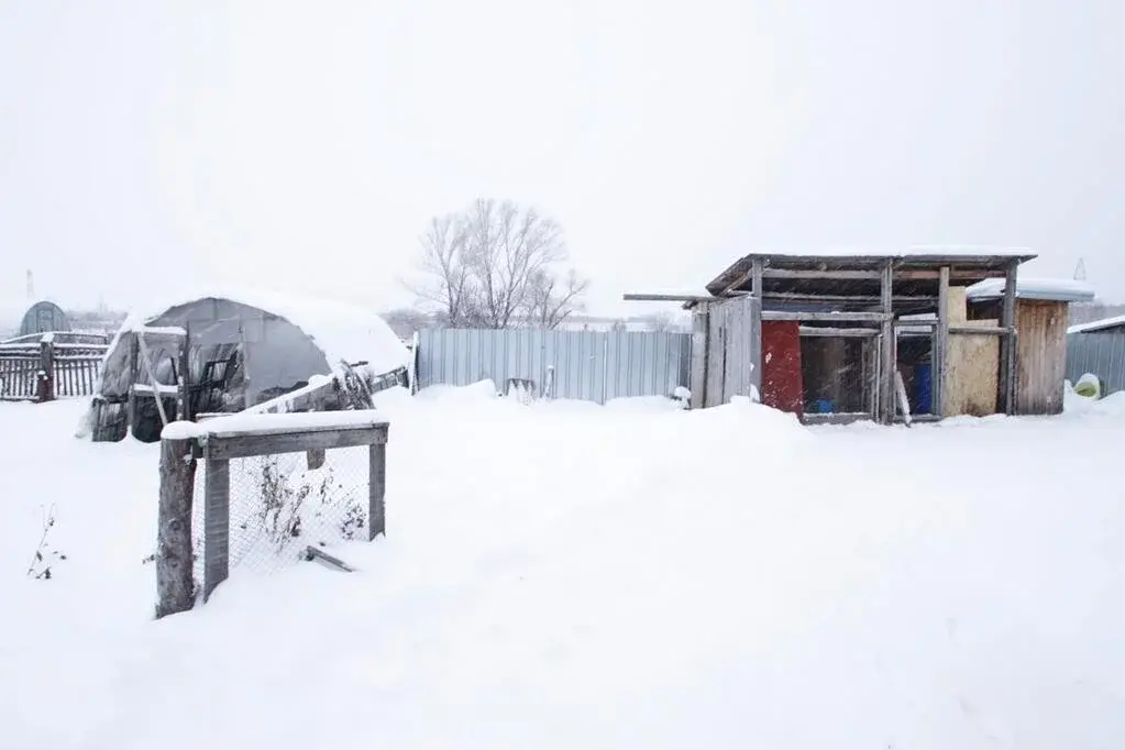 Гисметео гилево локтевский алтайский