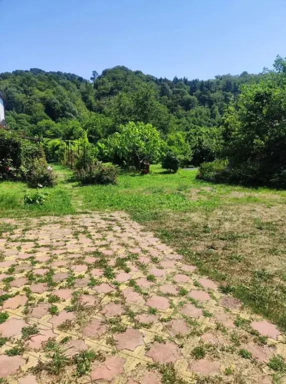 Квартира-студия рядом с морем, в Сочи. - Фото 5