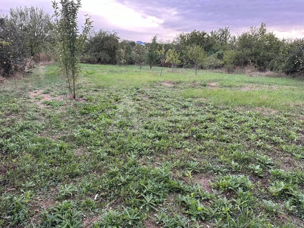 Продажа дома, Минеральные Воды, ул. Школьная - Фото 8