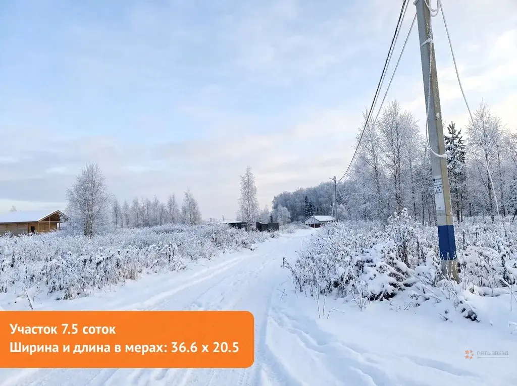 Продается земельный участок Жальское деревня - Фото 6