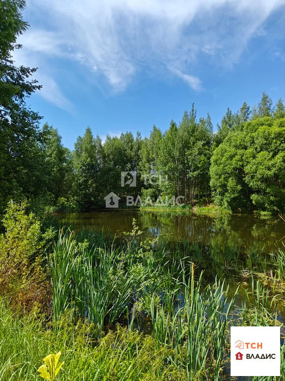 Сергиево-Посадский городской округ, дачное некоммерческое партнёрство ... - Фото 49