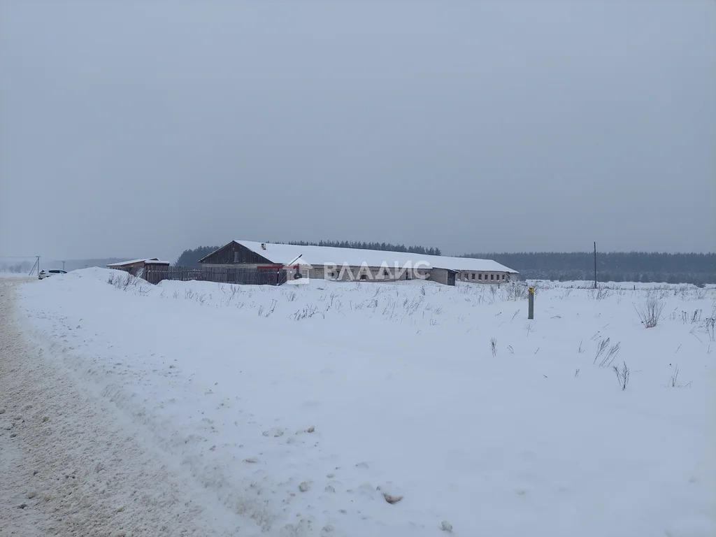 Производственное на продажу, Судогодский район, село Мошок, улица ... - Фото 24