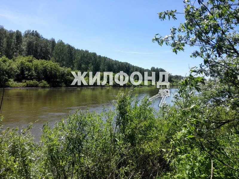 Городок плес на волге. Плесы новосибирск. Поселок плес. Река волга в городе плёсе. Река волга плес.