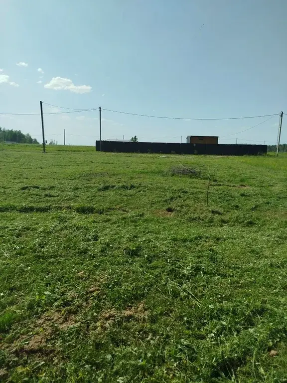 Земельный участок у леса - Фото 9