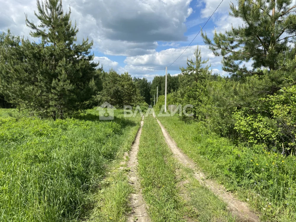 Камешковский район, деревня Лубенкино,  дом на продажу - Фото 24