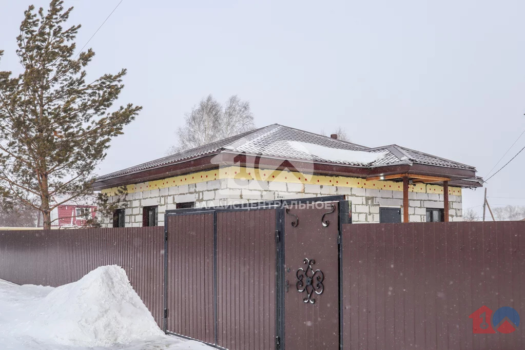 городской округ Новосибирск, Новосибирск, Первомайский район, ... - Фото 0