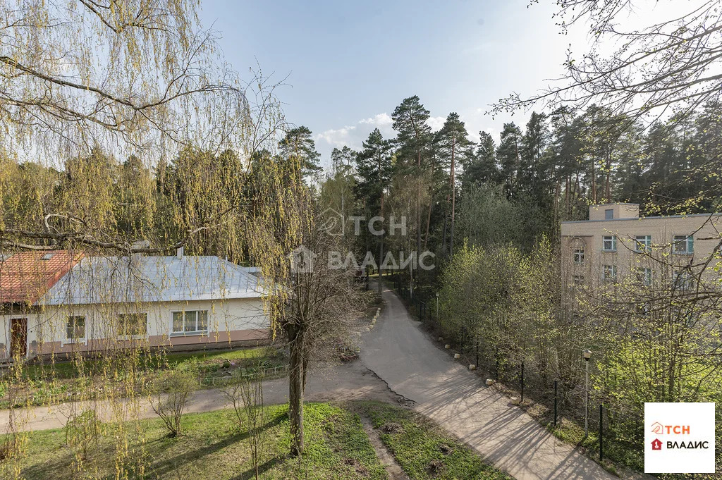 Продажа квартиры, Пушкино, Воскресенский район, 28А - Фото 28