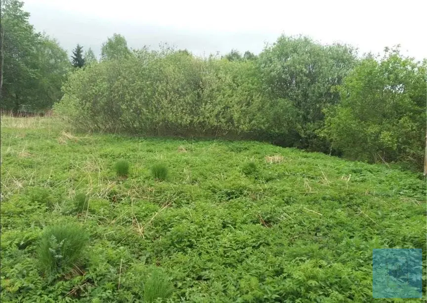 10,7 сотки в д. Лаптево, СНТ Дружба - Фото 1