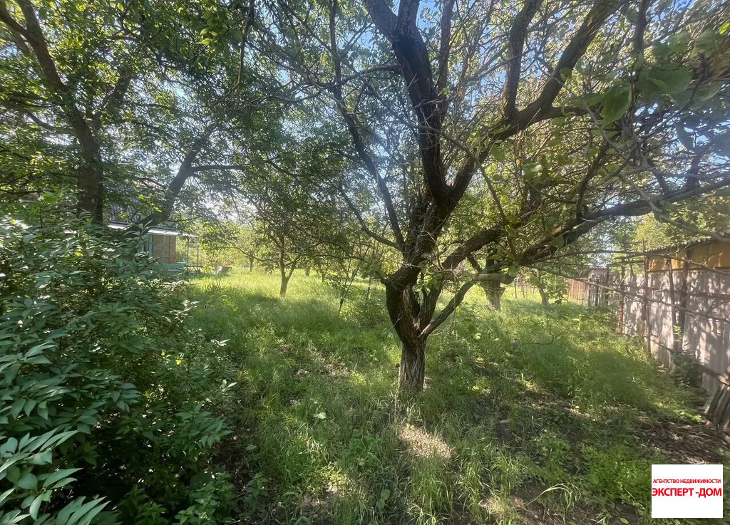 Продажа дома, Николаевка, Неклиновский район - Фото 5