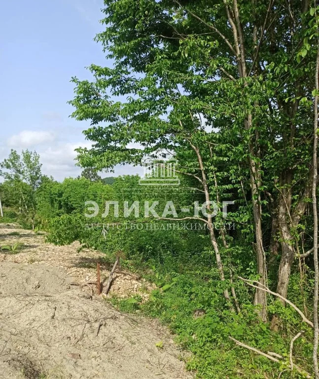 Продажа участка, Бжид, Туапсинский район, мкр. Юг - Фото 2