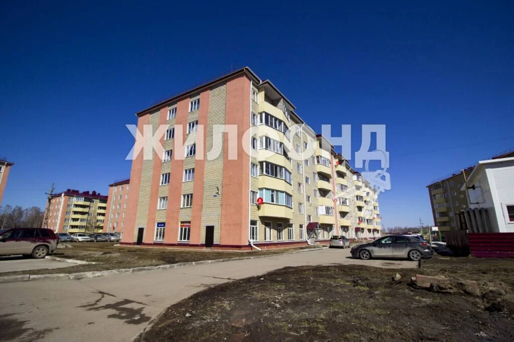 Продажа квартиры, Октябрьский, Мошковский район, Согласия - Фото 14