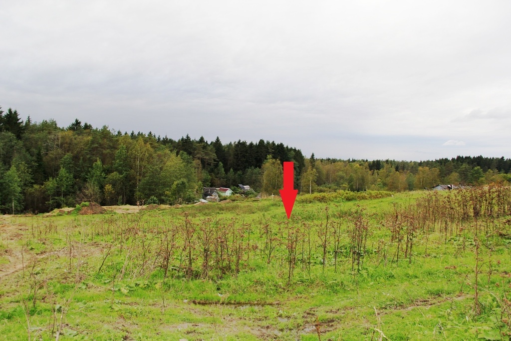 Ленинское первомайское. Участки первомайский поселок. Первомайская истра. Истринский первомайское 106. Участки в первомайском районе.